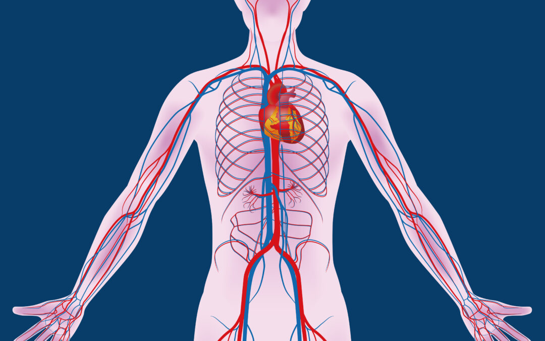 Early Detection of Vascular Health Issues? TM Flow is the Answer