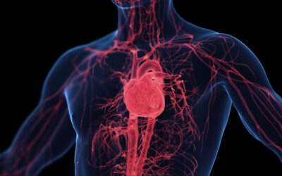 Identifying Circulation and Arterial Stiffness with PPG